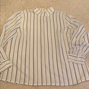 Ann Taylor Black and White Pinstripe Blouse with Pointed Collar